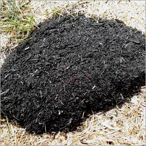 Rice Husk Ash