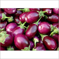 Fresh Brinjal