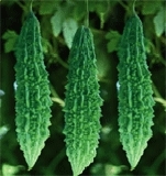 Bitter Gourd Seed