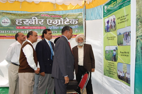 exibition