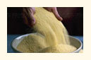 Wheat Lapsi