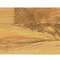 Antique Walnut