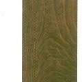 American Walnut