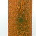 Vogasen Oak
