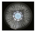FRP domes 