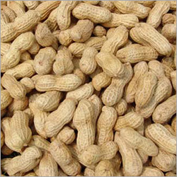Fresh Ground Nut