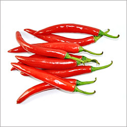 Red Chillies