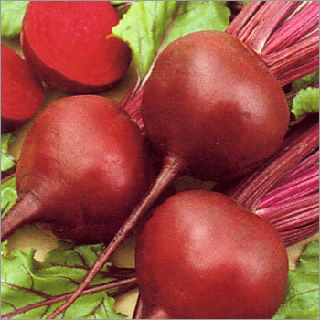 Beetroot
