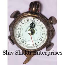 भूरा कछुआ समुद्री घड़ी