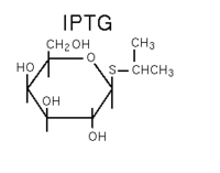IPTG