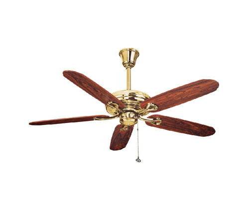 Designer Ceiling Fan