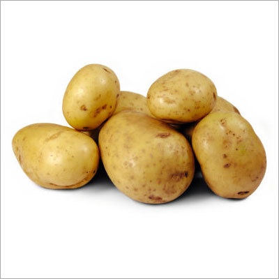 Fresh Potato