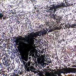 Turning and Boring Scrap