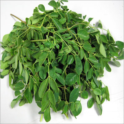 Moringa Leaf