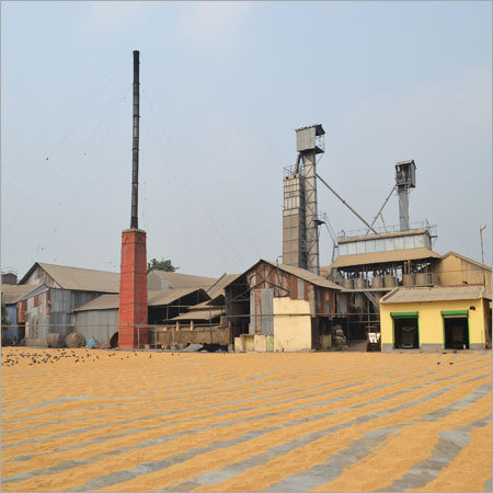 धान सुखाने का अड्डा