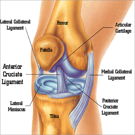 Natural Knee Pain Relief