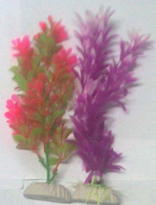 7 inch plant (2 in1)