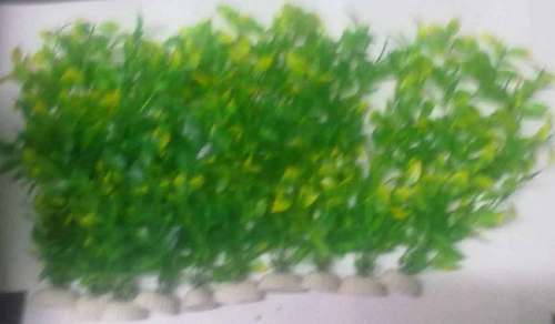 8C4 8 INCH (10 IN 1) AQUARIUM PLANT