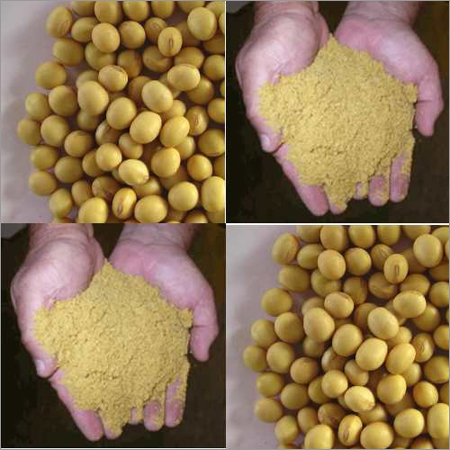 Soyabean Soyameal & Derivatives