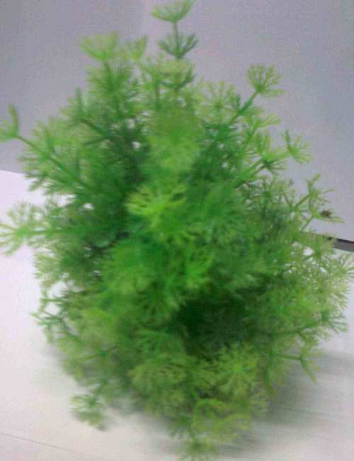 CH 635 4" AQUARIUM BENDING PLANT