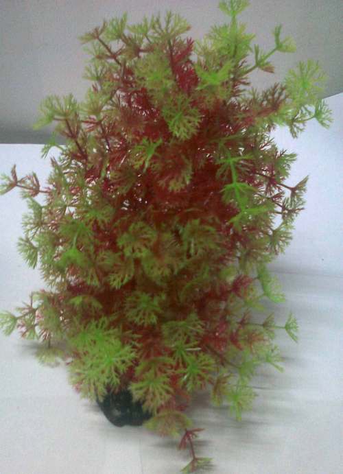CH 931 6" AQUARIUM BENDING PLANT