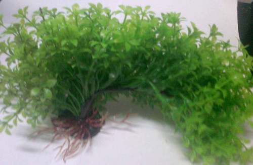 CH 932 6" AQUARIUM BENDING PLANT