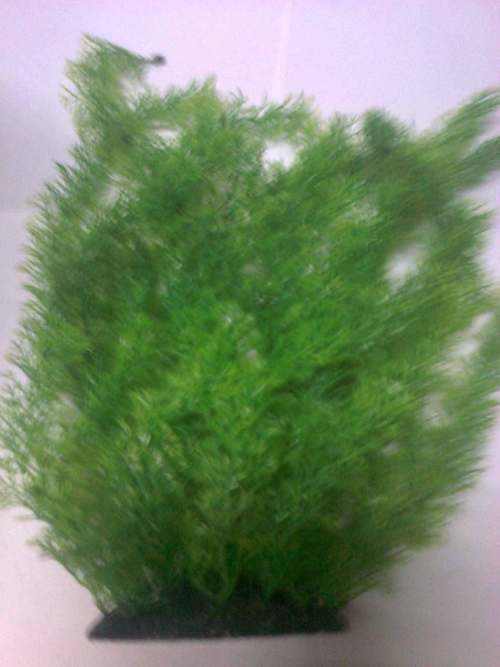 CH 1689 14" AQUARIUM PLANT BUNCH