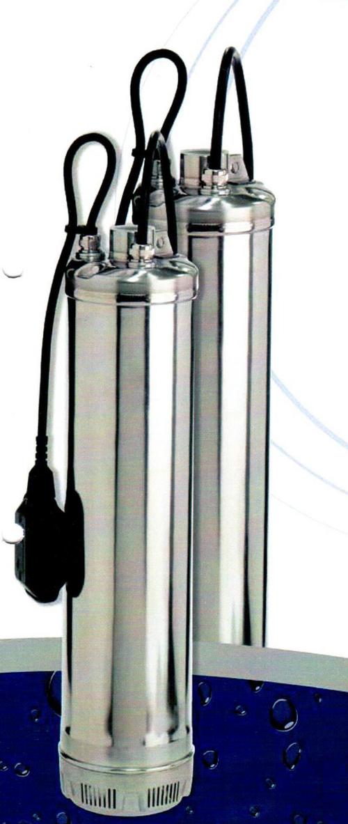 Stainless Steel Franklin Make Ss Submersible Pumps