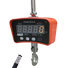 Crane Scales