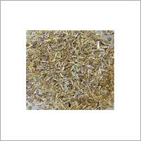 Carrot Seed