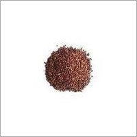 Tulsi Seed