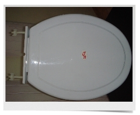 Premium Toilet Seat Covers