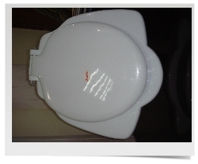 Anglo Indian Toilet Seat Covers