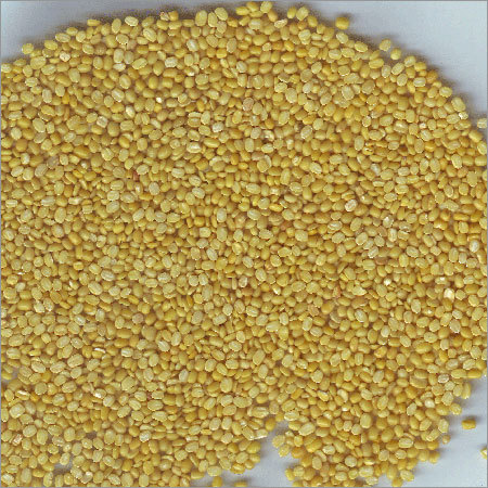 Yellow Moong Dal