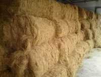 Natural Coir Fibre