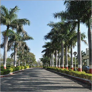 Gardening Services