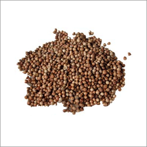 Coriander Whole (Dhaniya)