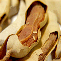 Tamarind With Fibre