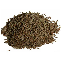 Cumin (Jeera)