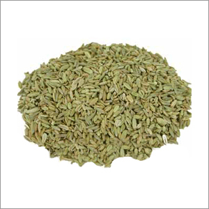 Fennel (Saunf)