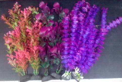 CH PLANTS BAG 12"(6 IN 1) RANGE CLR.