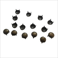 Shoe Metallic Accessories