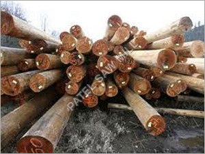 Valsadi Teek Wood