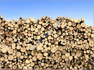Indian Teak Wood