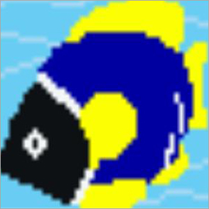 Custom Swimming Pool Tiles