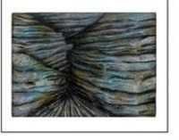 kw AB 18-1 Aquarium Back ground