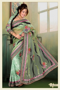 Pastel Green Net, Brasso Saree with Blouse