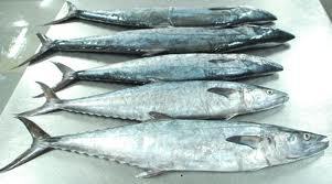 Seer fish