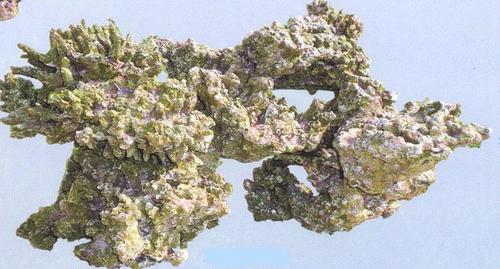 Aquapro coral TZ-H 501