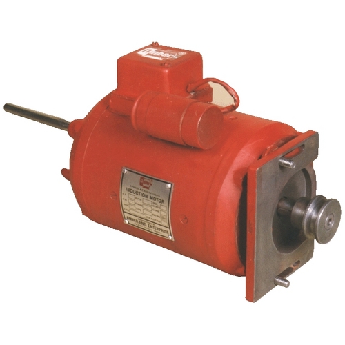 Special Purpose Electric Motor